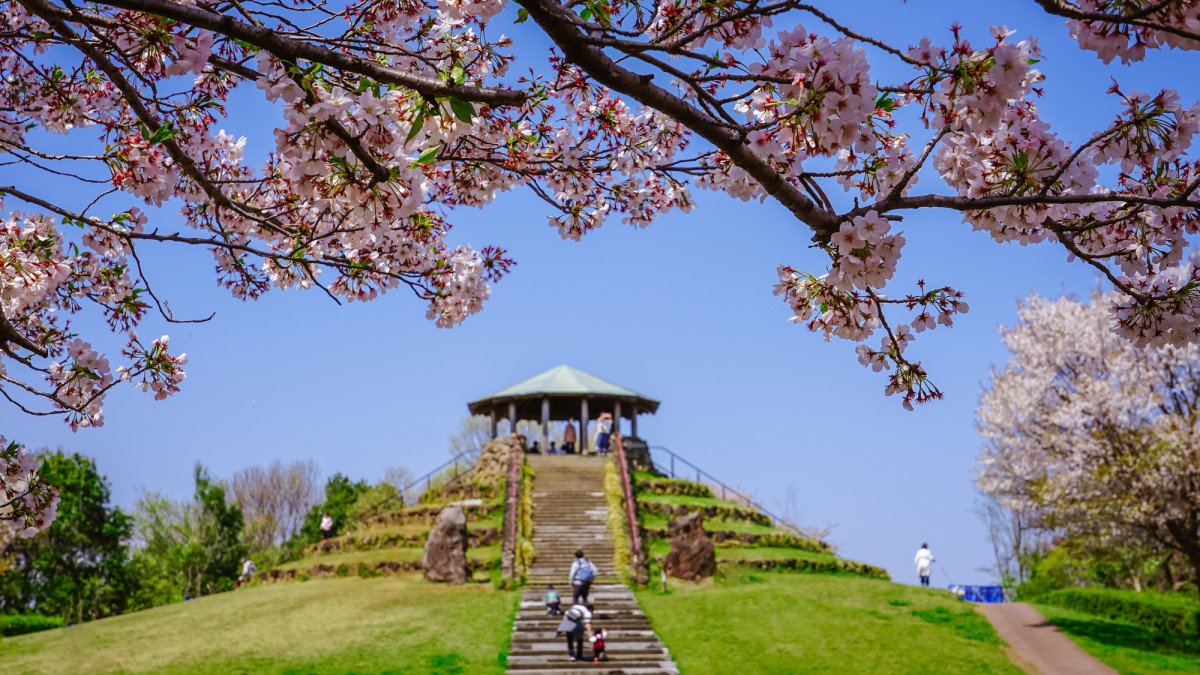 🏞️ 사계절의 숲 공원(시키노모리 코엔) 이미지 1